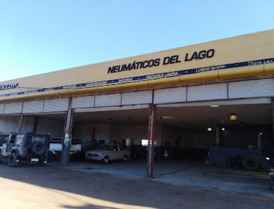 Neumáticos Del Lago