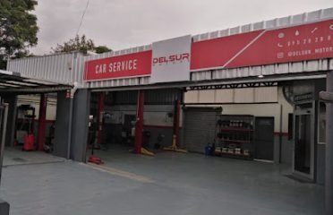 DELSUR MOTORS