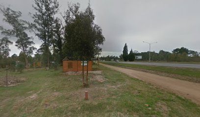 Inter Neumáticos Gomería — Gomería en Neptunia (foto 2 de 2)