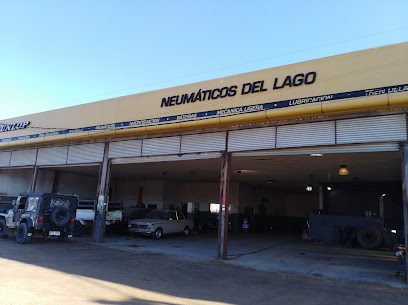 Neumáticos Del Lago
